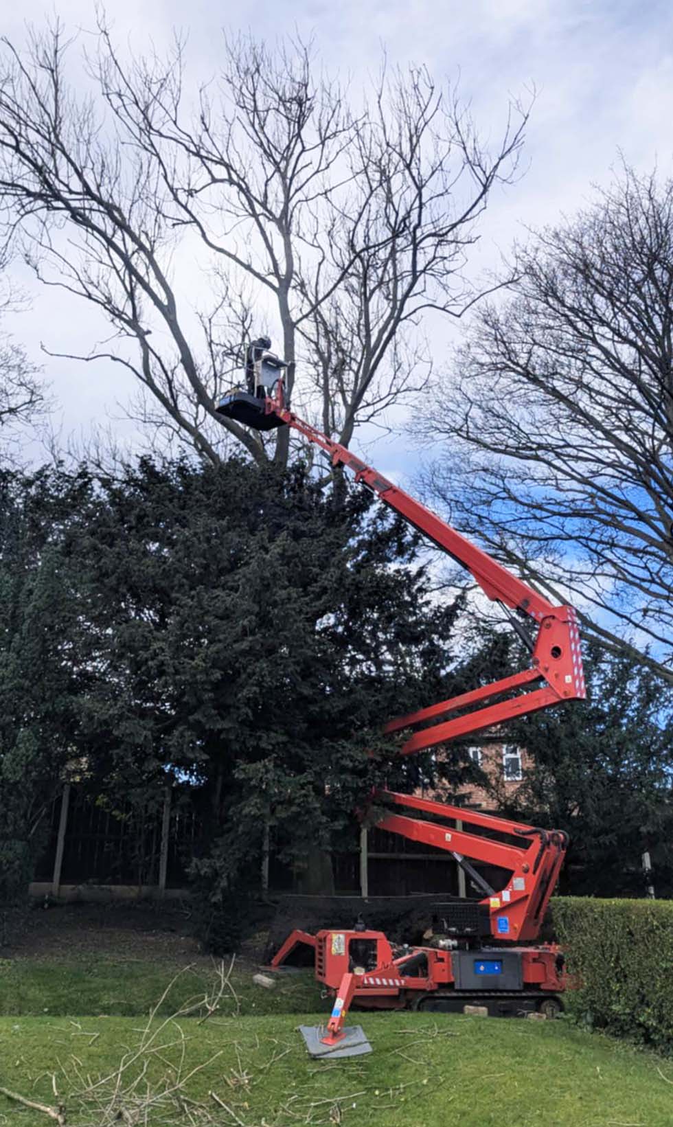 Oakdale arborists carrying out tree maintenance works in North Yorkshire