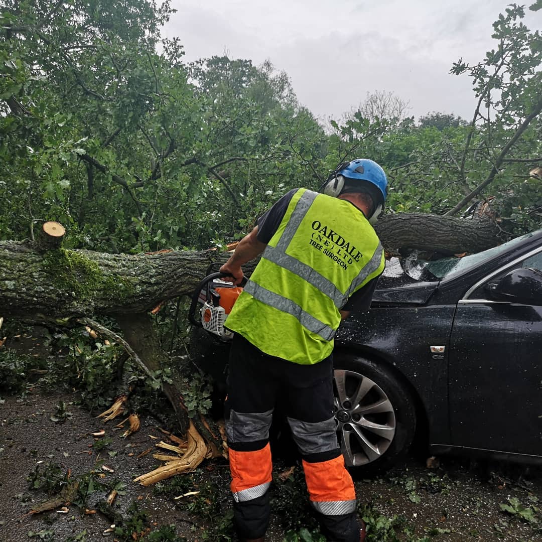 Oakdale arborists carrying out emergency tree works in North Yorkshire & Teesside