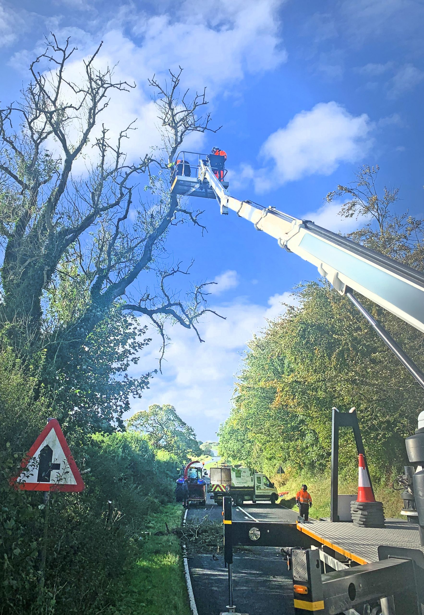 Oakdale arborists carrying out highway tree maintenance works in North Yorkshire using traffic management and specialist access equipment.